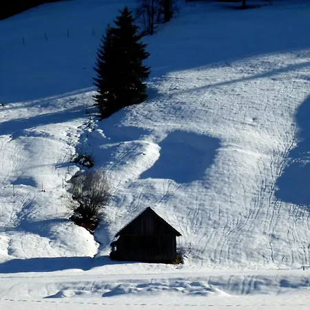 公寓 Almenliesl 格绍