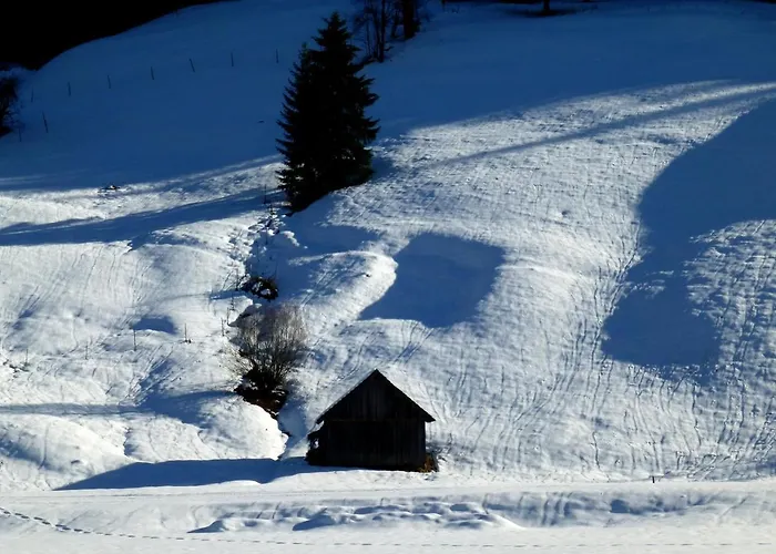 Apartmán Almenliesl Gosau