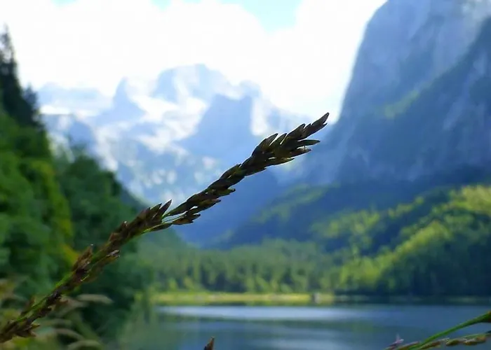 Lejlighed Almenliesl