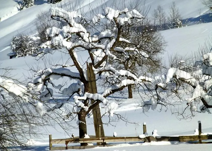 Apartamento Almenliesl Gosau